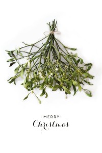 merry-christmas-card